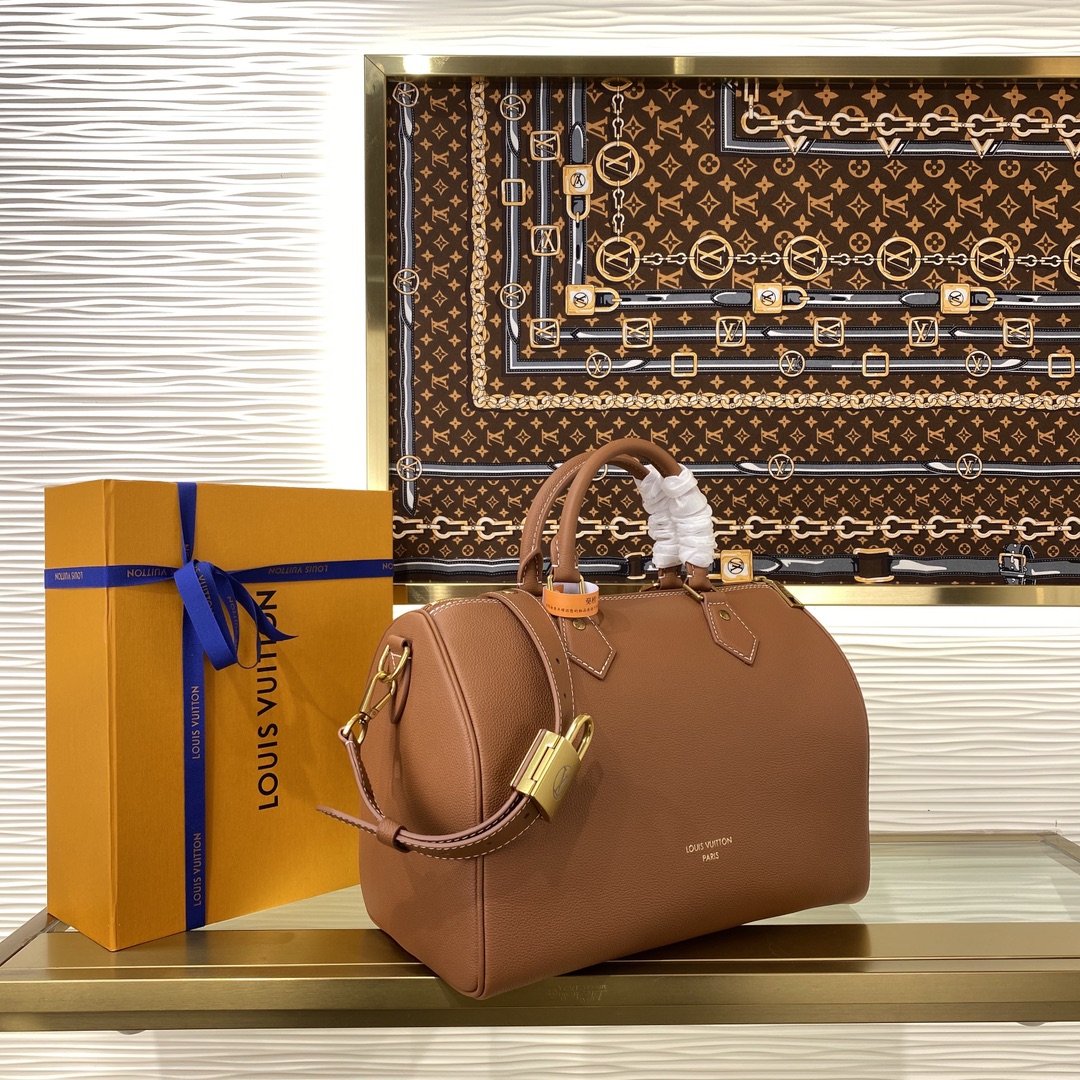 Louis Vuitton Speedy everyday