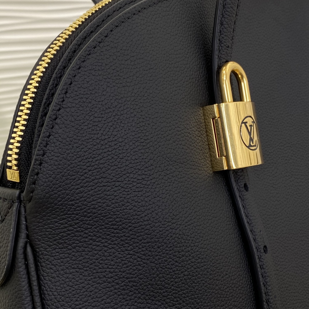 Louis Vuitton Alma Monogram everyday