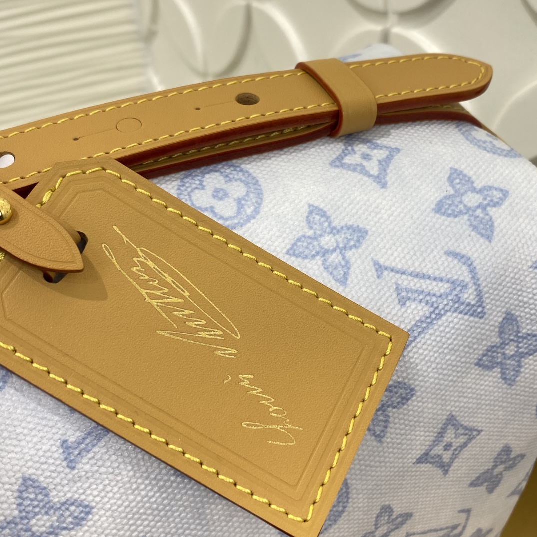 Louis Vuitton Monogram BB everyday