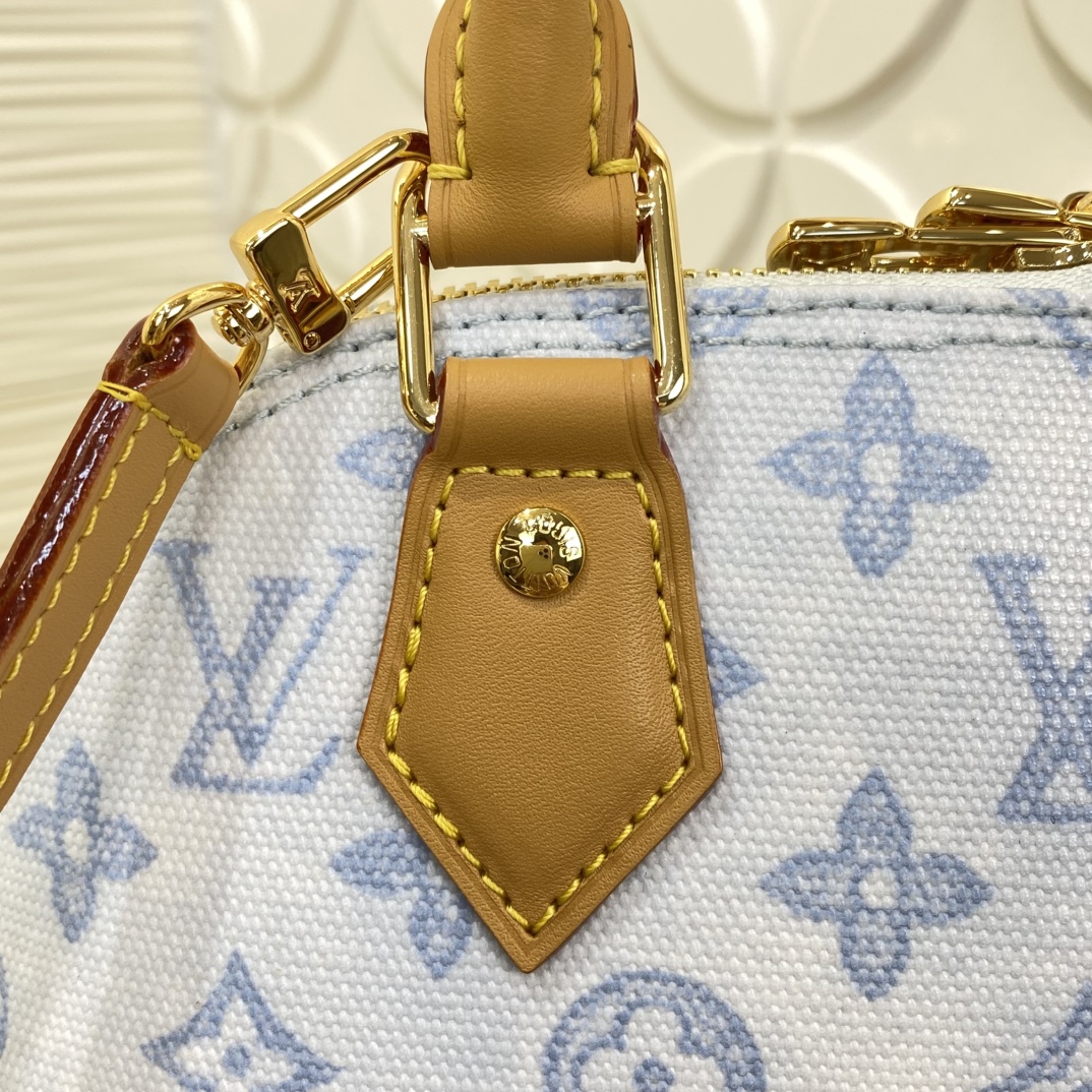 Louis Vuitton M27525 Monogram BB everyday