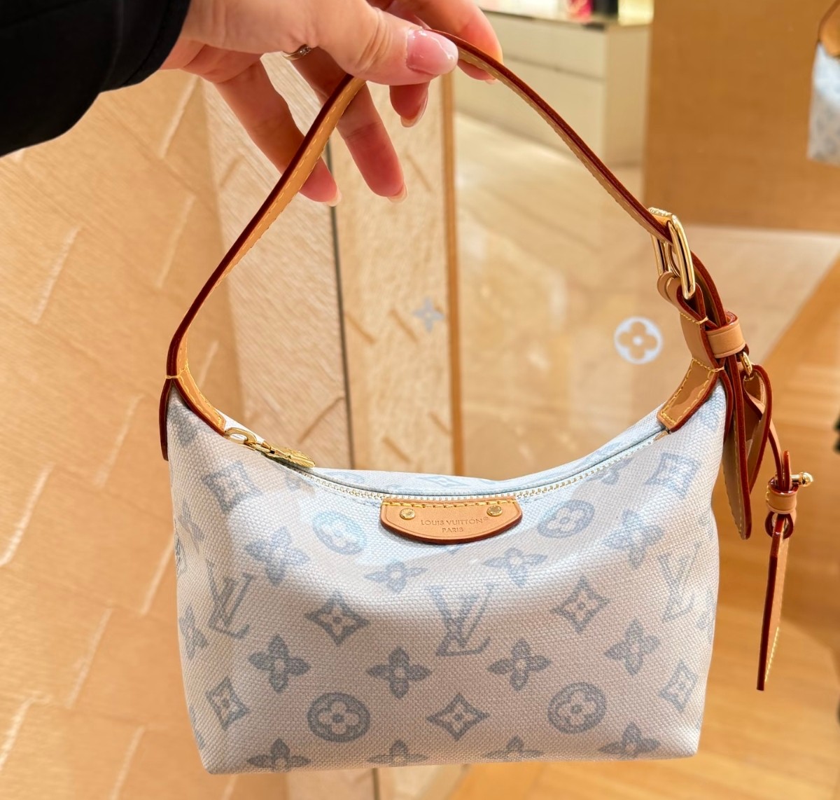 Louis Vuitton Pochette everyday