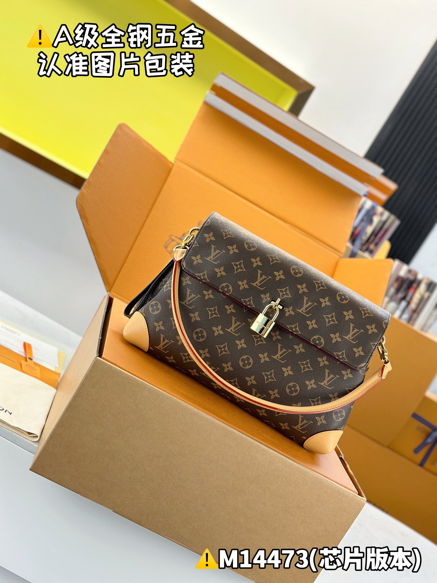 Louis Vuitton everyday