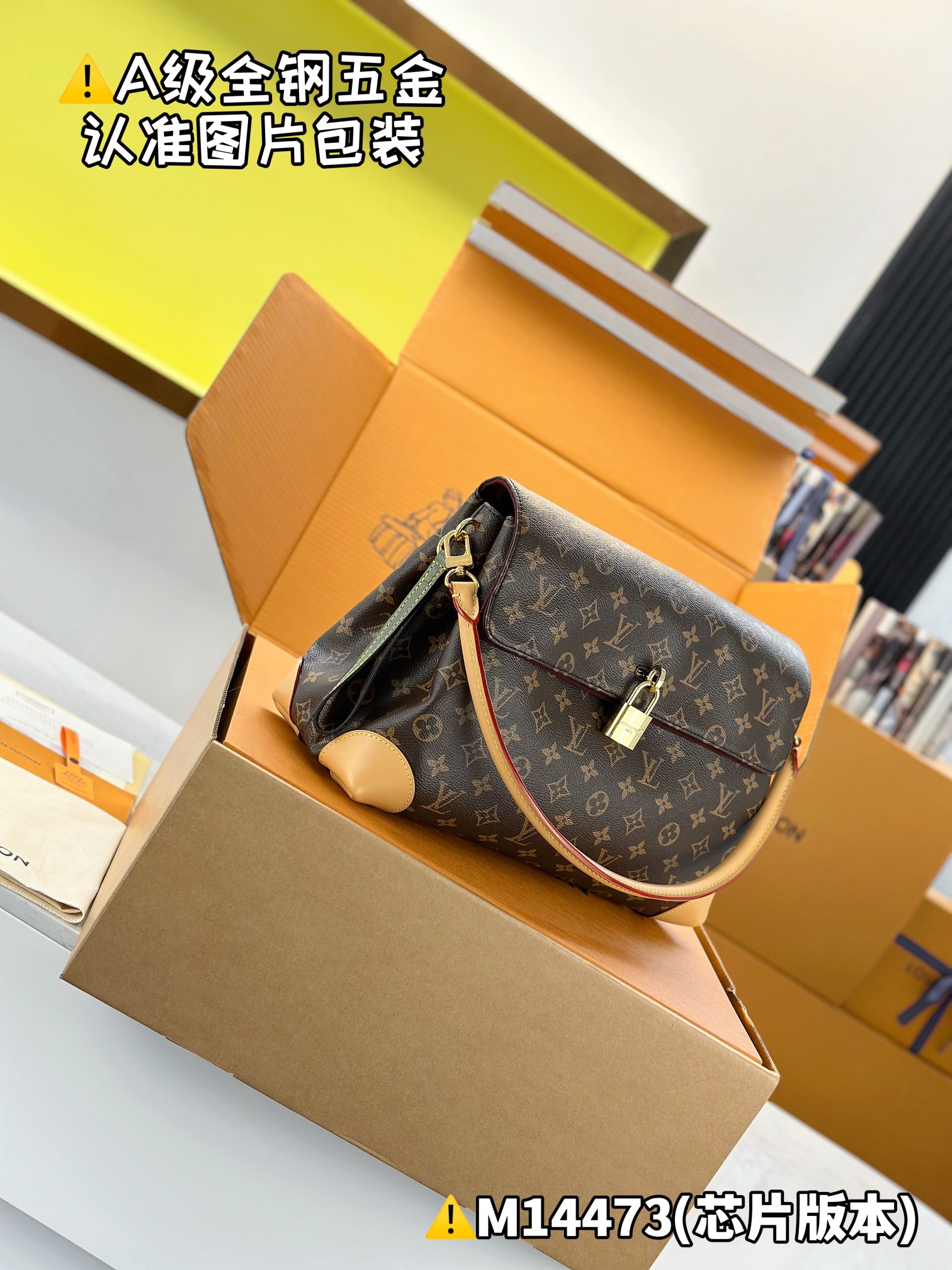 Louis Vuitton everyday