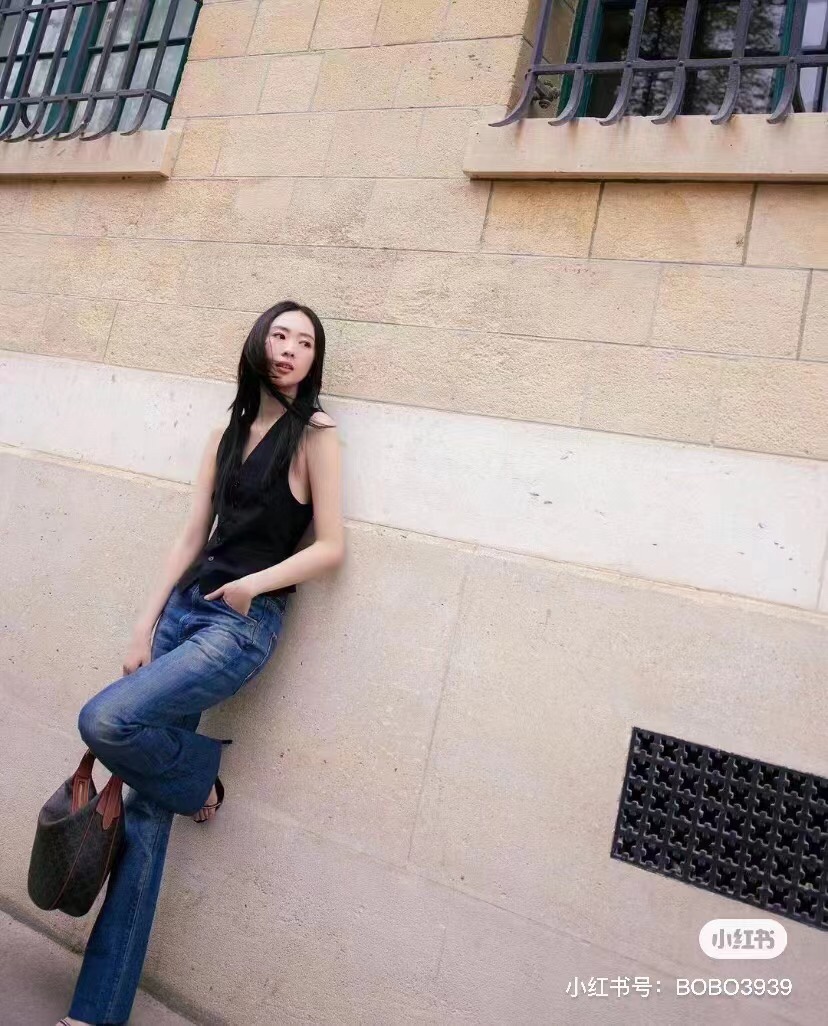 Celine Heloise Hobo armpit bag ~ Tong Yao same style