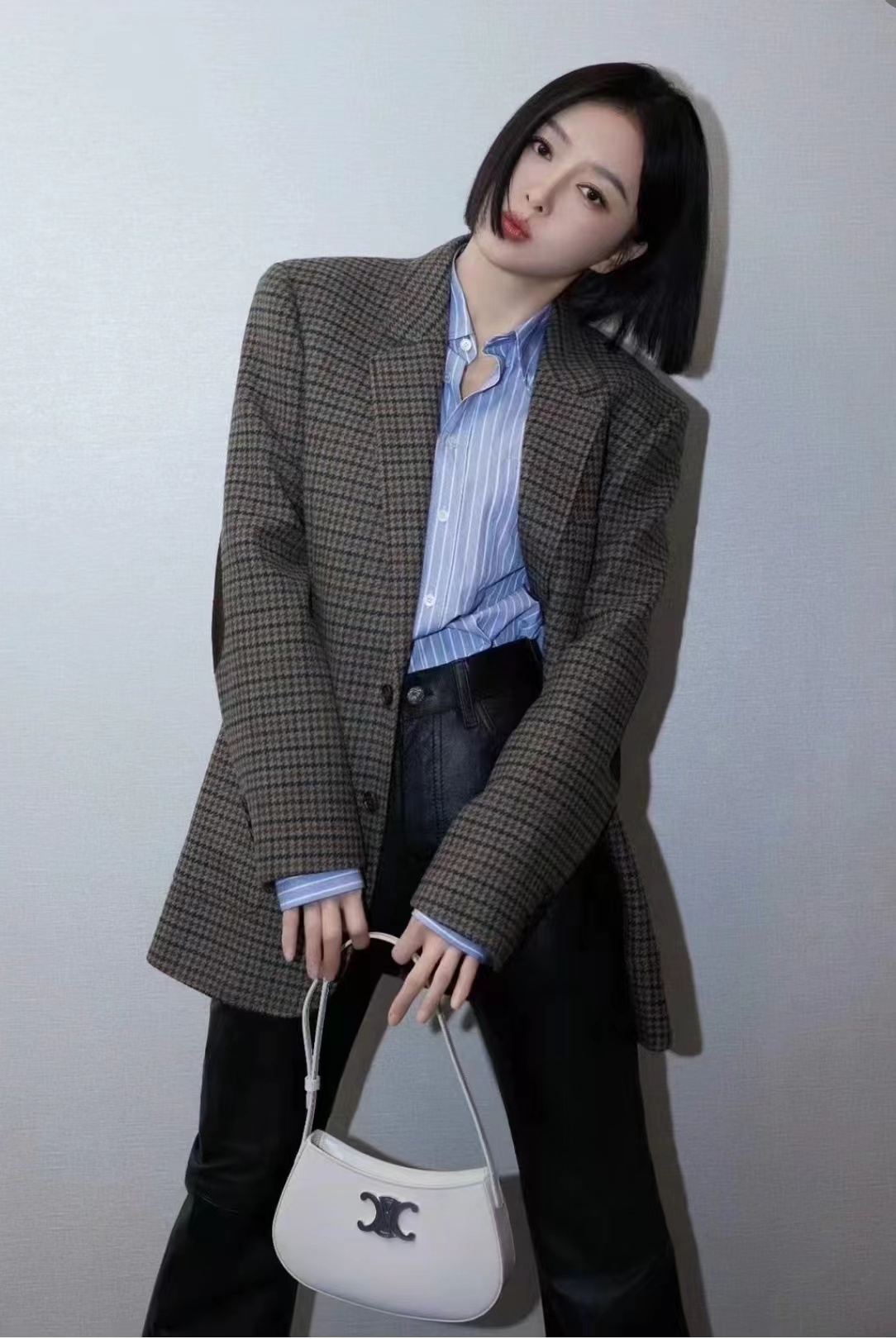 Celine Tilly armpit bag Qin Lan same style