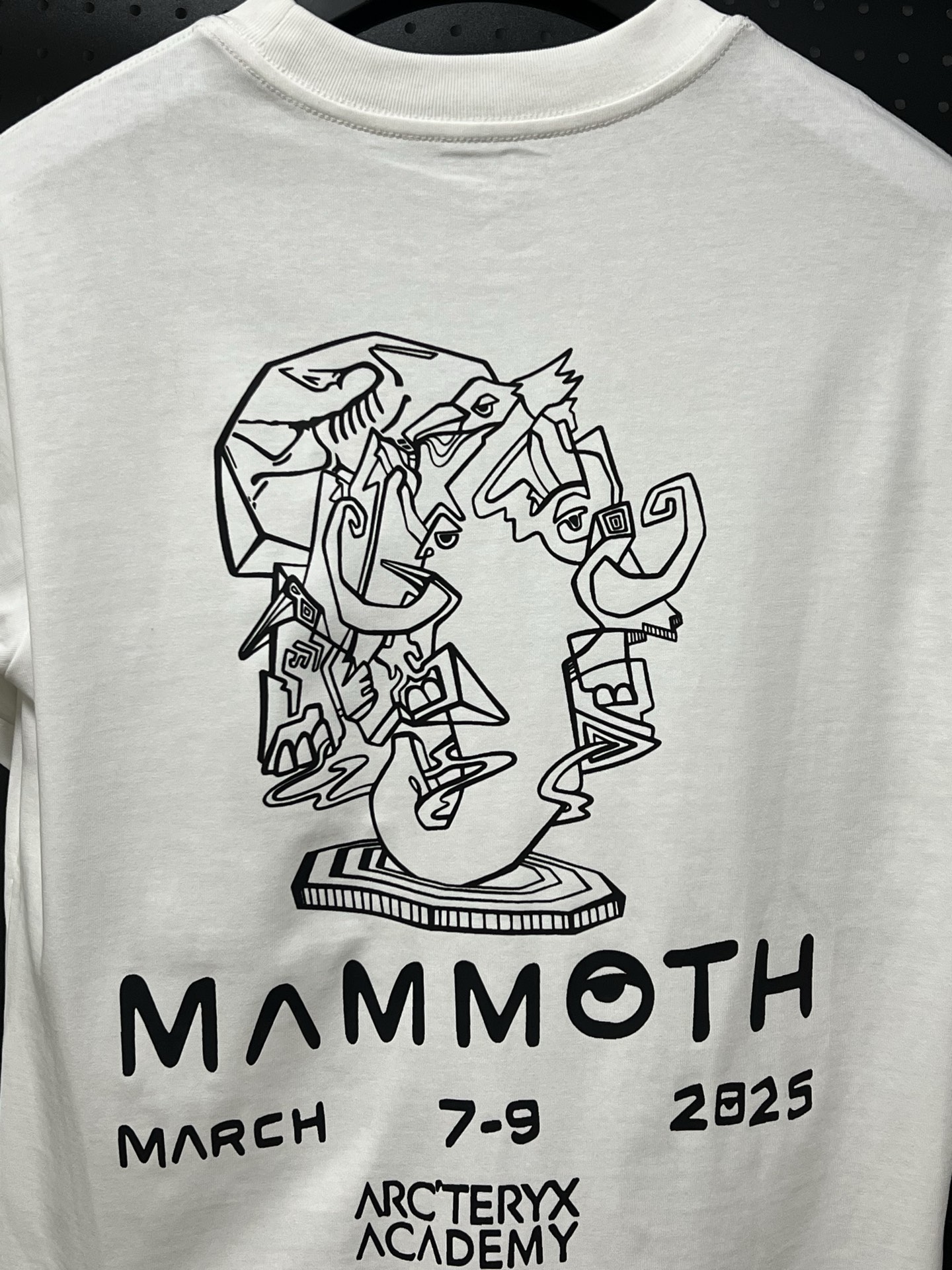 💰75 💥高版本💥     
Arc'Teryx/始祖鸟联名Mammoth猛犸象25年新款280克高克重纯棉印花T恤
始祖鸟字母LOGO印花，高端32s双纱280克面料重磅面料，定制拉架罗纹同缸同染。包装袋，主标，洗水麦，下摆鸟标所有配件齐全。
颜色：黑色，白色，
码数：xS-L【宽松版】