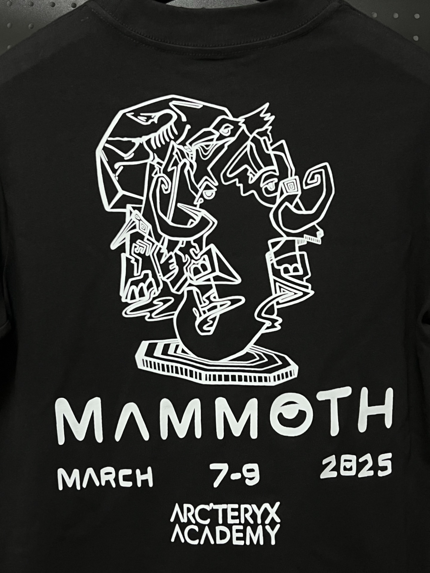 💰75 💥高版本💥     
Arc'Teryx/始祖鸟联名Mammoth猛犸象25年新款280克高克重纯棉印花T恤
始祖鸟字母LOGO印花，高端32s双纱280克面料重磅面料，定制拉架罗纹同缸同染。包装袋，主标，洗水麦，下摆鸟标所有配件齐全。
颜色：黑色，白色，
码数：xS-L【宽松版】