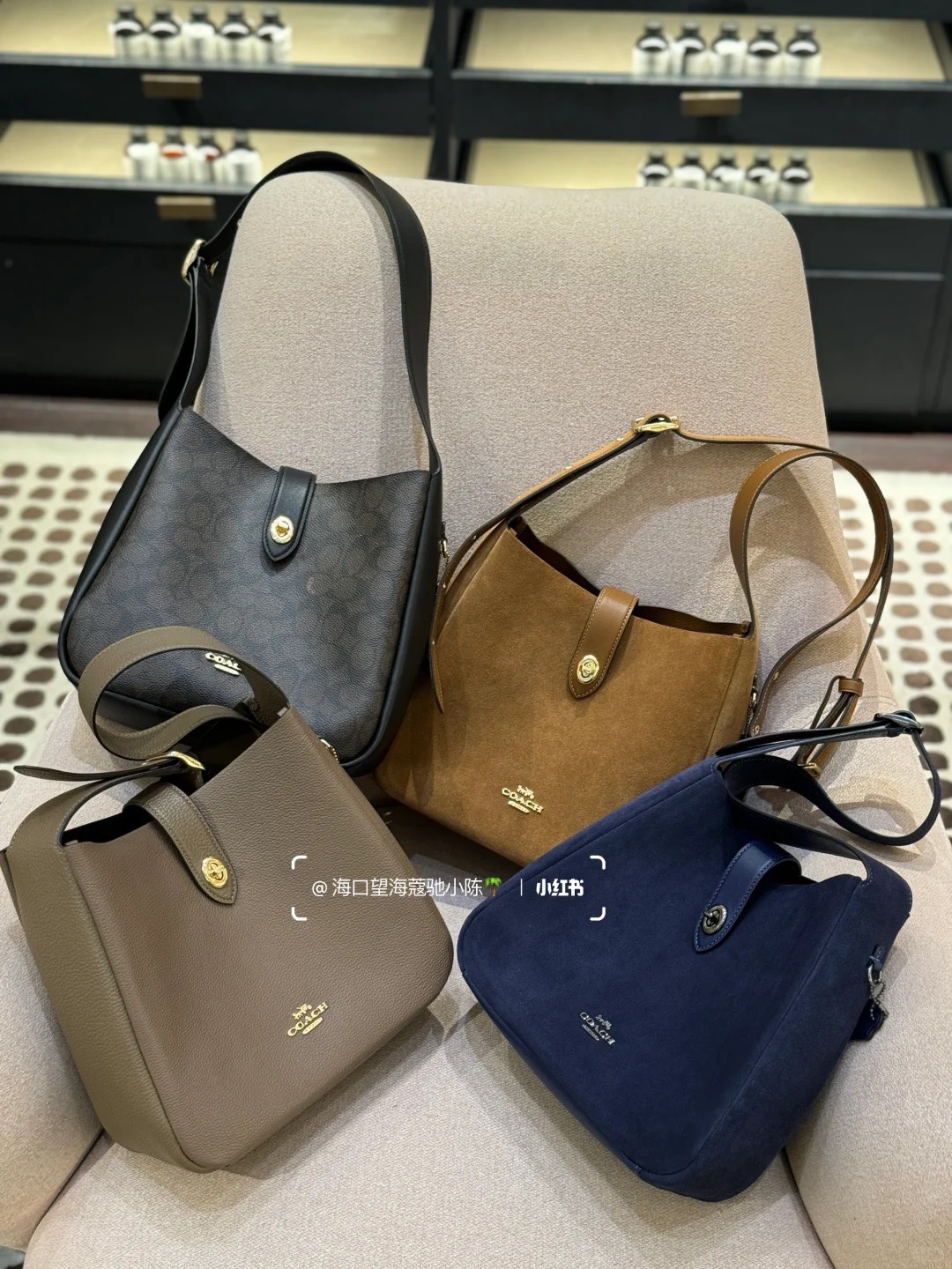 coa10月新品HADLEY🆕 7