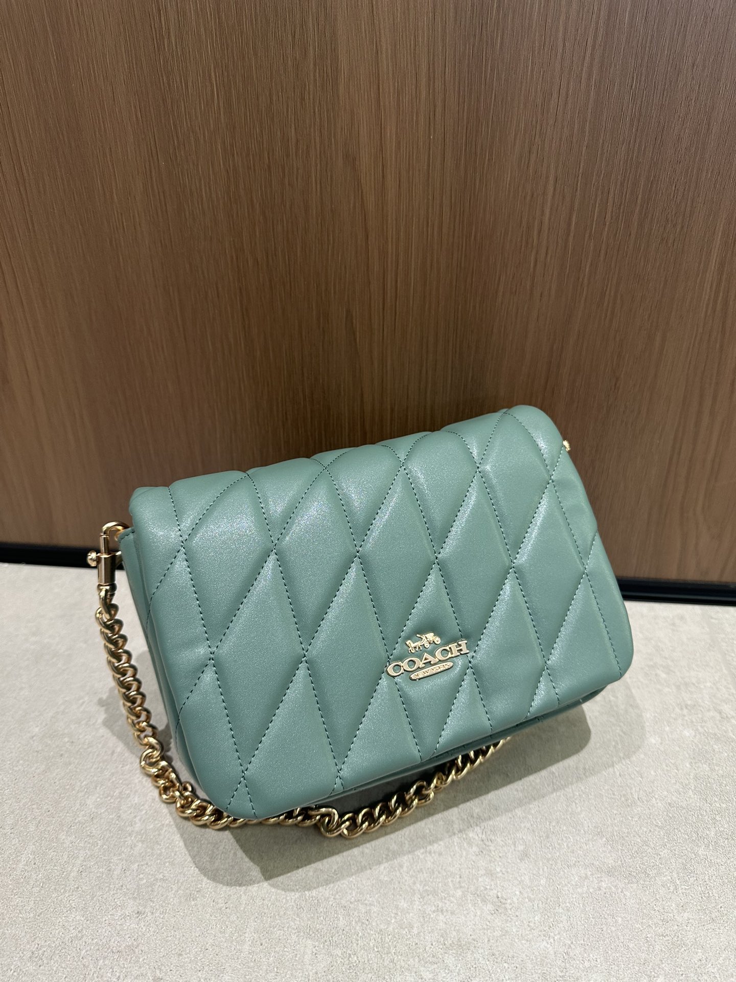 CY663牛油果色Coach12月新系列Quinn Bag绗缝工艺的云朵包 给你置身在天空中的轻盈~尺寸适宜且耐装~ 腋下手提都能凹出不同的造型风格	
尺寸:22/16/8cn
K16