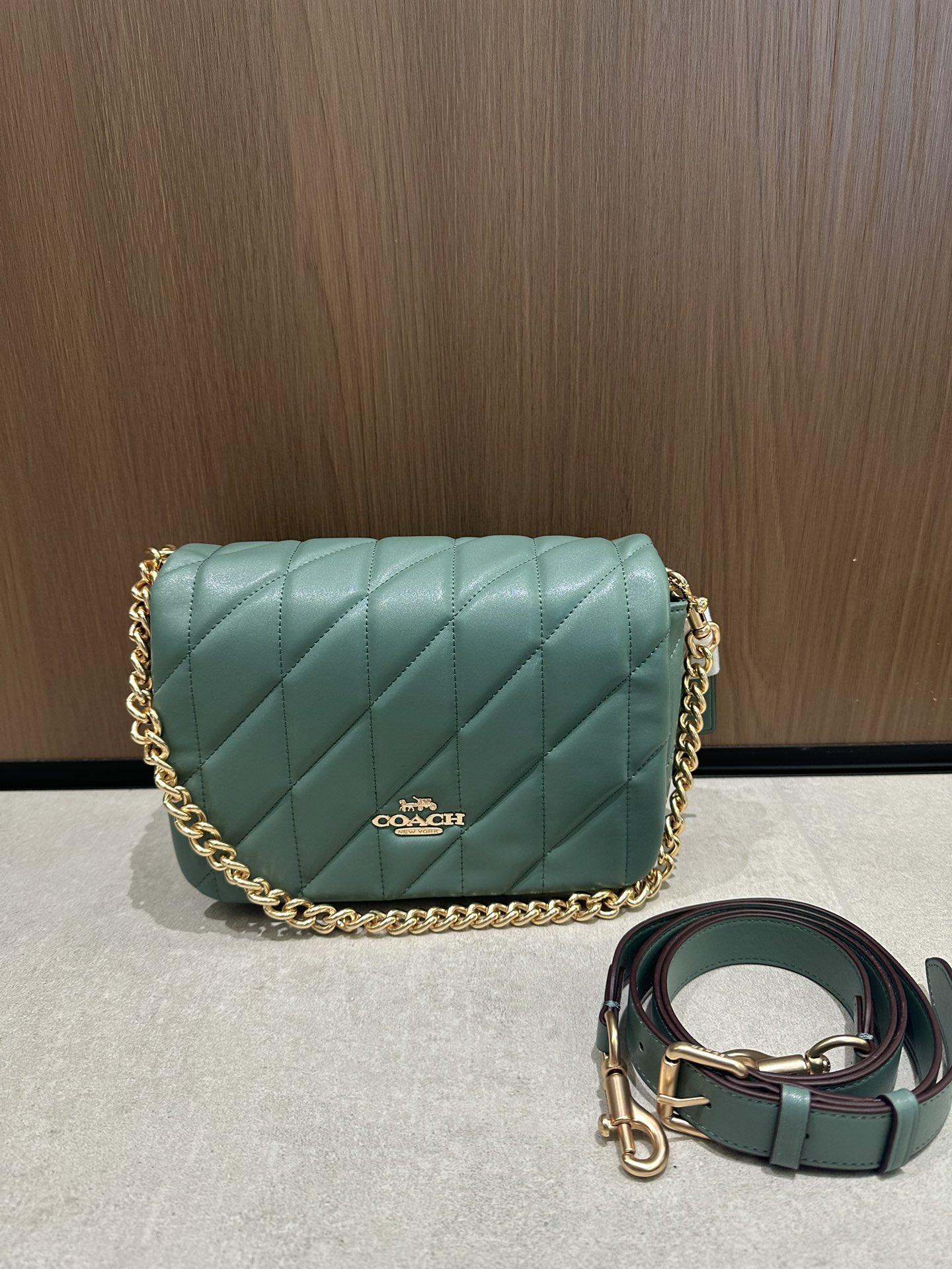 CY663牛油果色Coach12月新系列Quinn Bag绗缝工艺的云朵包 给你置身在天空中的轻盈~尺寸适宜且耐装~ 腋下手提都能凹出不同的造型风格	
尺寸:22/16/8cn
K16