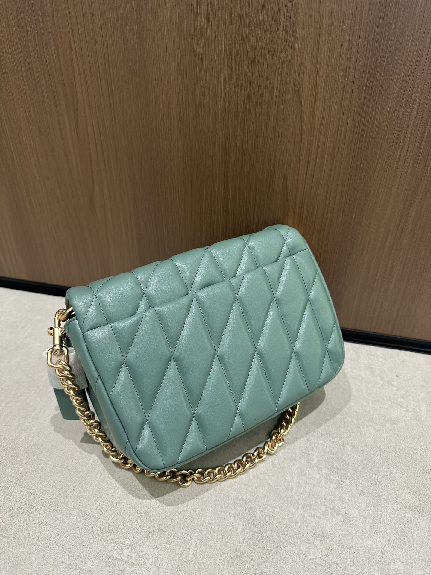 CY663牛油果色Coach12月新系列Quinn Bag绗缝工艺的云朵包 给你置身在天空中的轻盈~尺寸适宜且耐装~ 腋下手提都能凹出不同的造型风格	
尺寸:22/16/8cn
K16