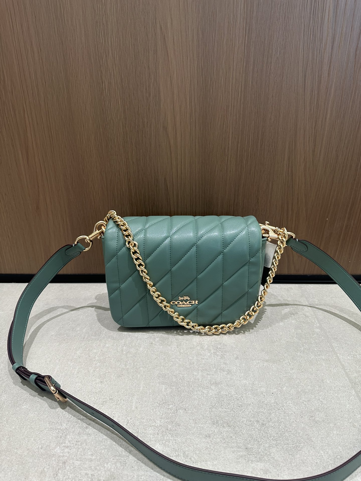 CY663牛油果色Coach12月新系列Quinn Bag绗缝工艺的云朵包 给你置身在天空中的轻盈~尺寸适宜且耐装~ 腋下手提都能凹出不同的造型风格	
尺寸:22/16/8cn
K16