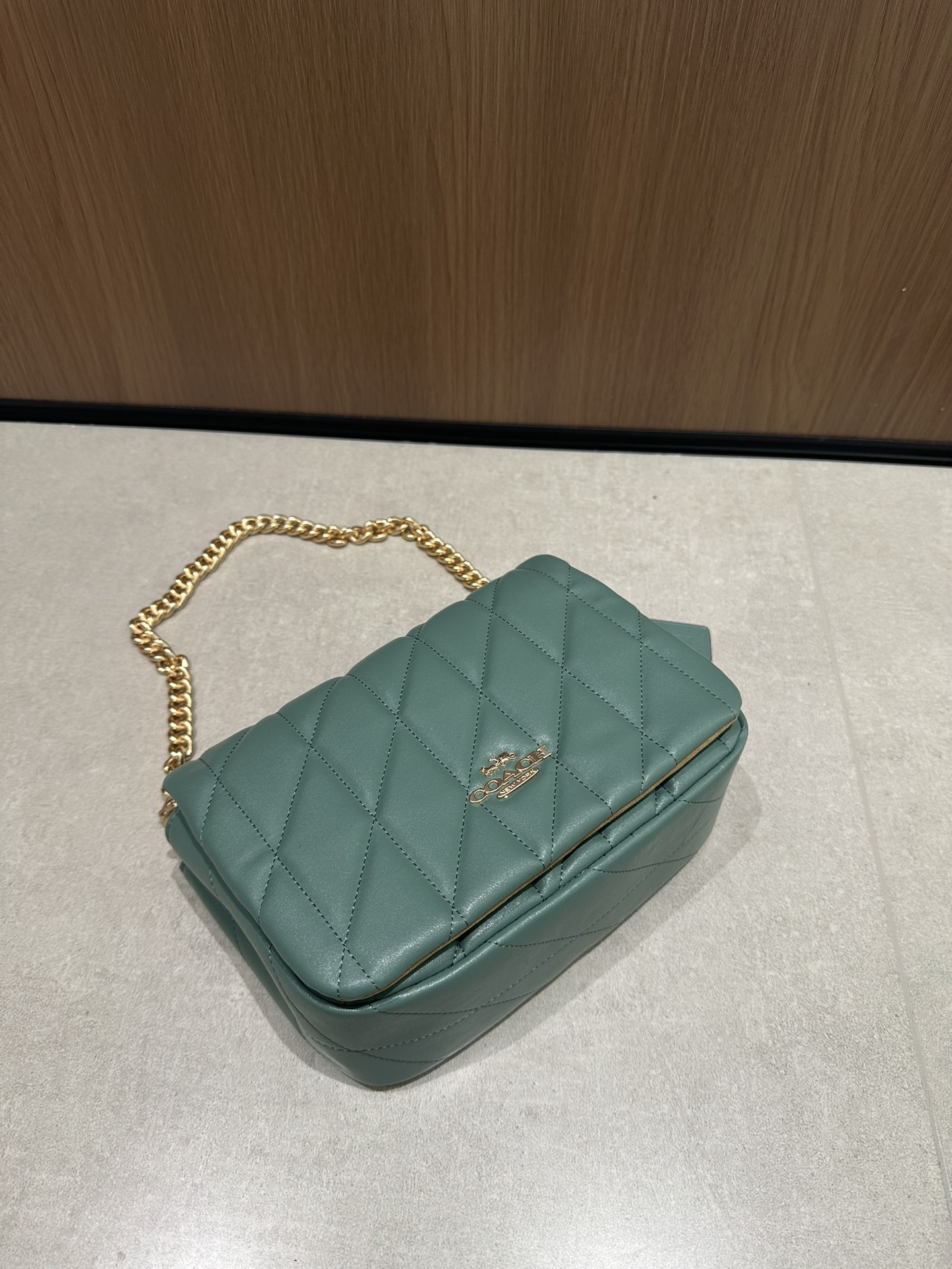 CY663牛油果色Coach12月新系列Quinn Bag绗缝工艺的云朵包 给你置身在天空中的轻盈~尺寸适宜且耐装~ 腋下手提都能凹出不同的造型风格	
尺寸:22/16/8cn
K16