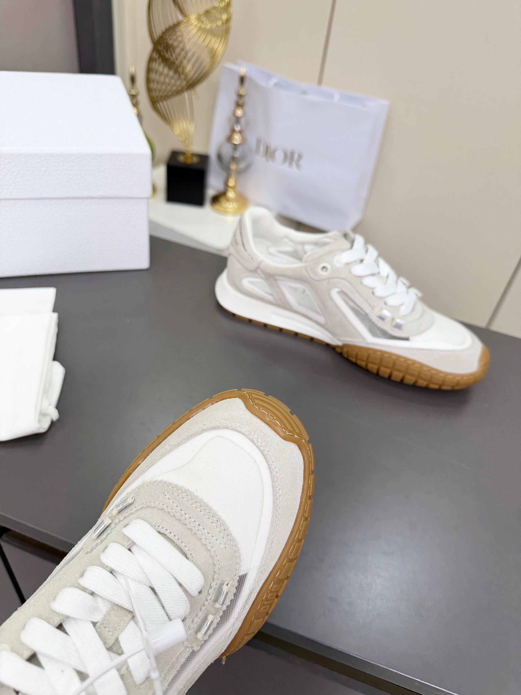 Dior Sneakers