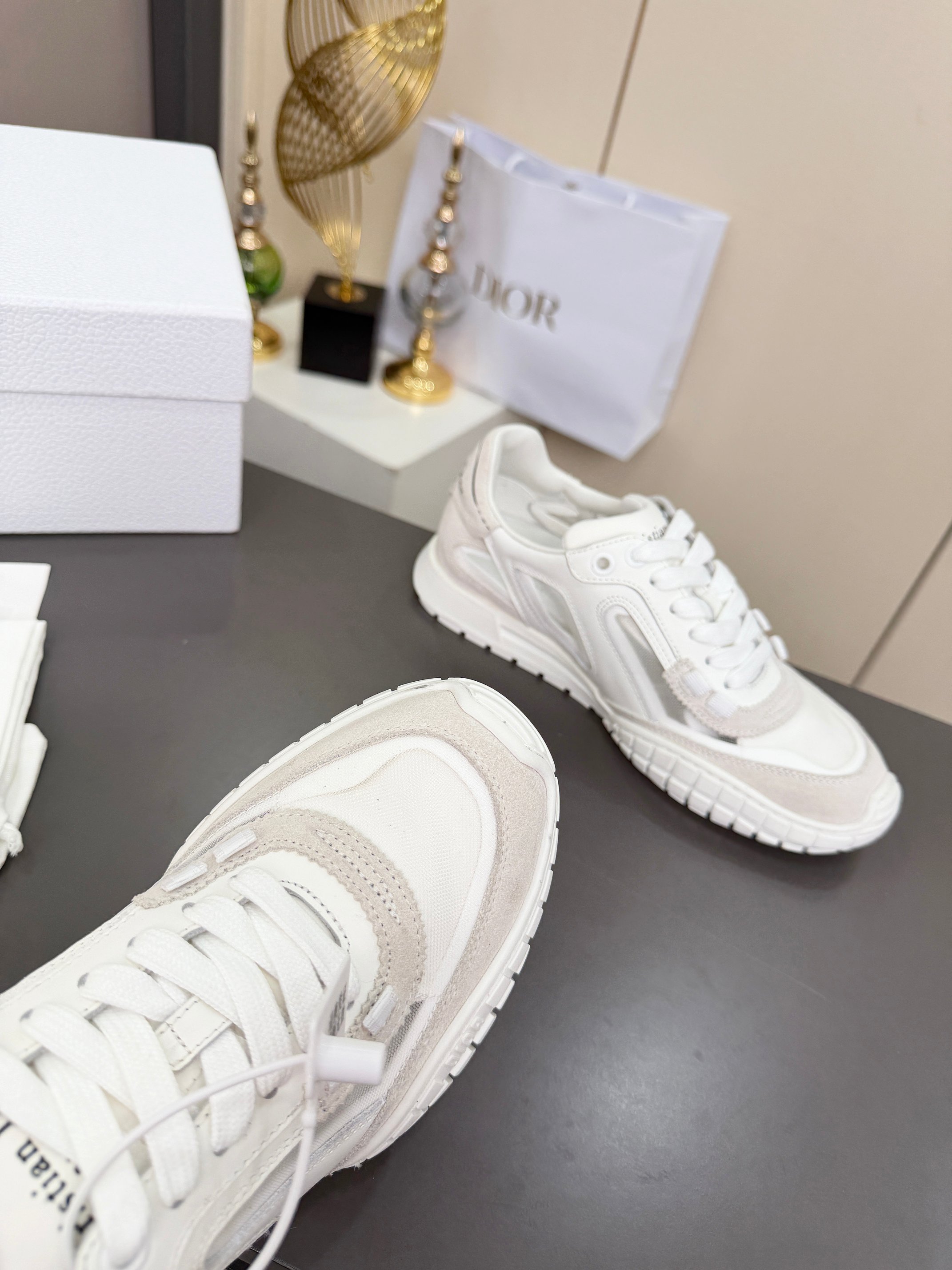 Dior Sneakers
