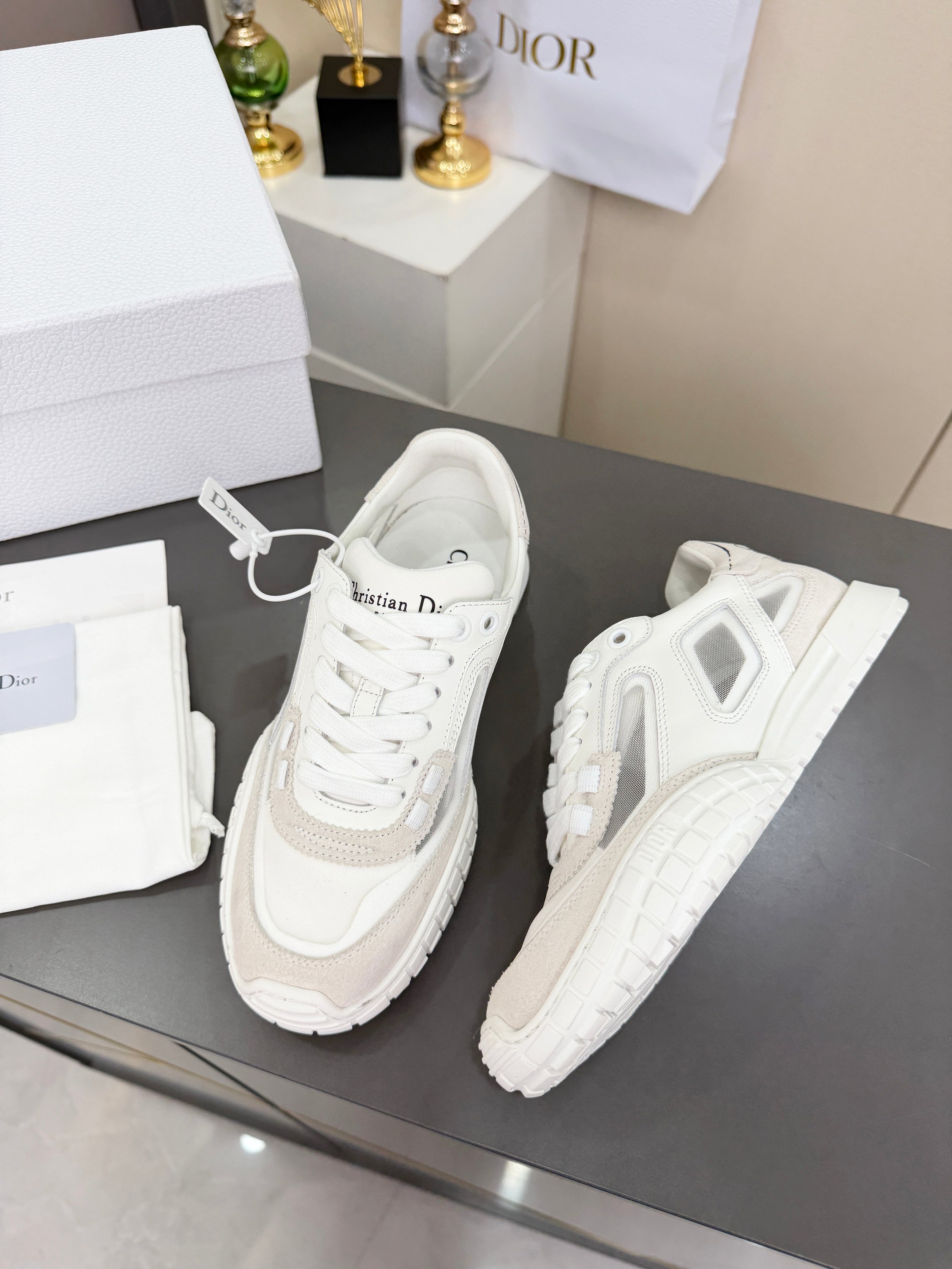 Dior Sneakers
