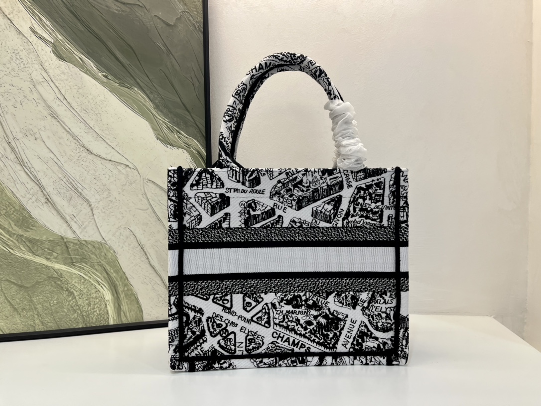巴黎地图小号Book Tote 手袋由 Dior 女装创意总监玛丽亚·嘉茜娅·蔻丽 (Maria Gra