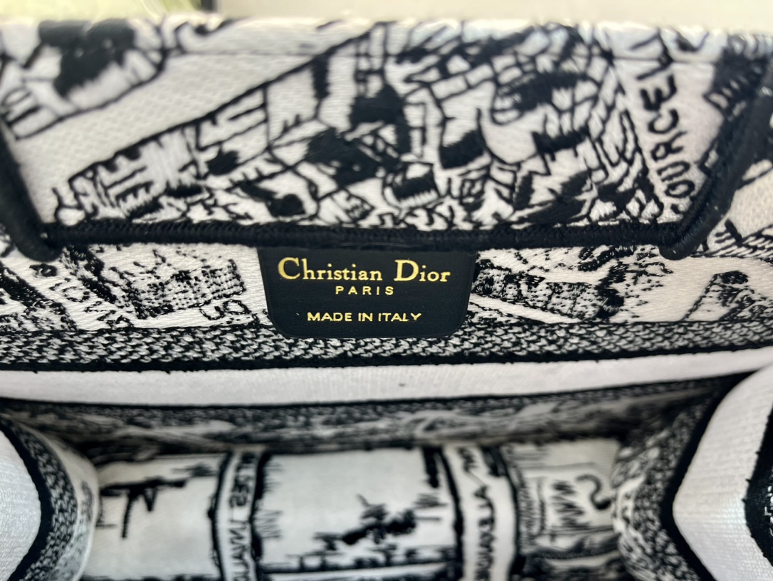 巴黎地图小号Book Tote 手袋由 Dior 女装创意总监玛丽亚·嘉茜娅·蔻丽 (Maria Gra