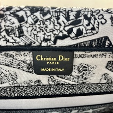 巴黎地图中号Book Tote 手袋由 Dior 女装创意总监玛丽亚·嘉茜娅·蔻丽 (Maria Gra 巴黎地图中号Book Tote 手袋由 Dior 女装创意总监玛丽亚·嘉茜娅·蔻丽 (Maria Gra