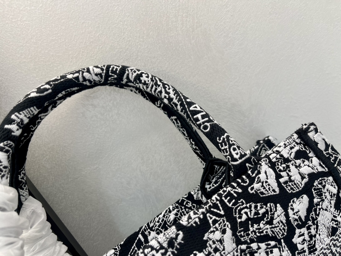 巴黎地图小号Book Tote 手袋由 Dior 女装创意总监玛丽亚·嘉茜娅·蔻丽 (Maria Gra