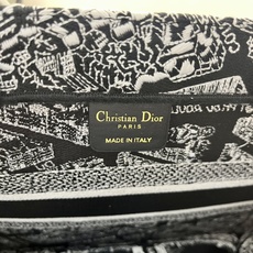巴黎地图中号Book Tote 手袋由 Dior 女装创意总监玛丽亚·嘉茜娅·蔻丽 (Maria Gra 巴黎地图中号Book Tote 手袋由 Dior 女装创意总监玛丽亚·嘉茜娅·蔻丽 (Maria Gra
