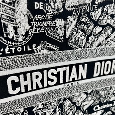巴黎地图中号Book Tote 手袋由 Dior 女装创意总监玛丽亚·嘉茜娅·蔻丽 (Maria Gra 巴黎地图中号Book Tote 手袋由 Dior 女装创意总监玛丽亚·嘉茜娅·蔻丽 (Maria Gra