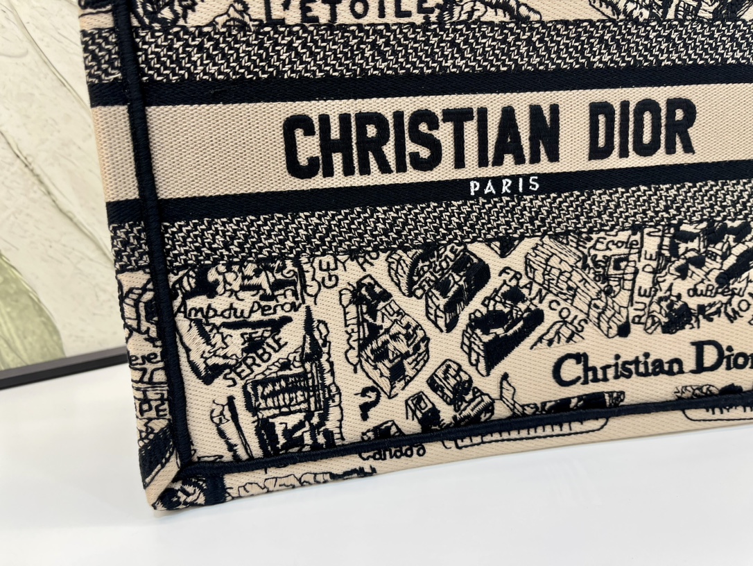 巴黎地图小号Book Tote 手袋由 Dior 女装创意总监玛丽亚·嘉茜娅·蔻丽 (Maria Gra