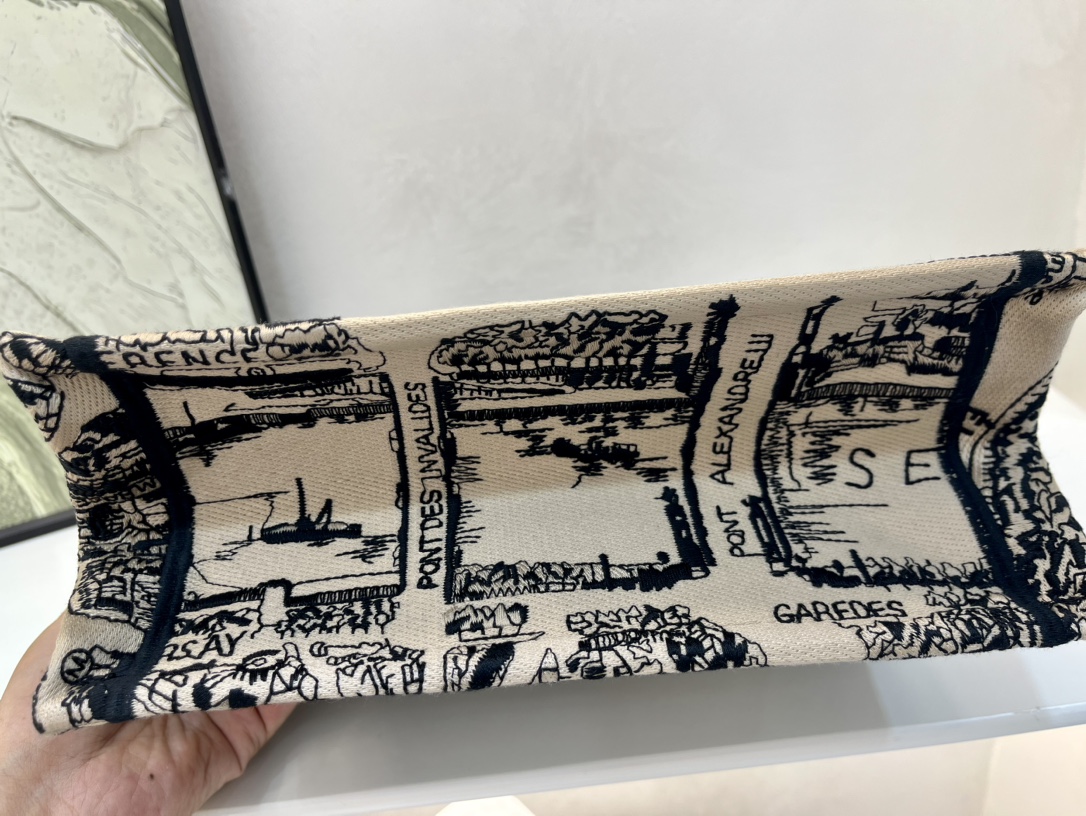 巴黎地图小号Book Tote 手袋由 Dior 女装创意总监玛丽亚·嘉茜娅·蔻丽 (Maria Gra