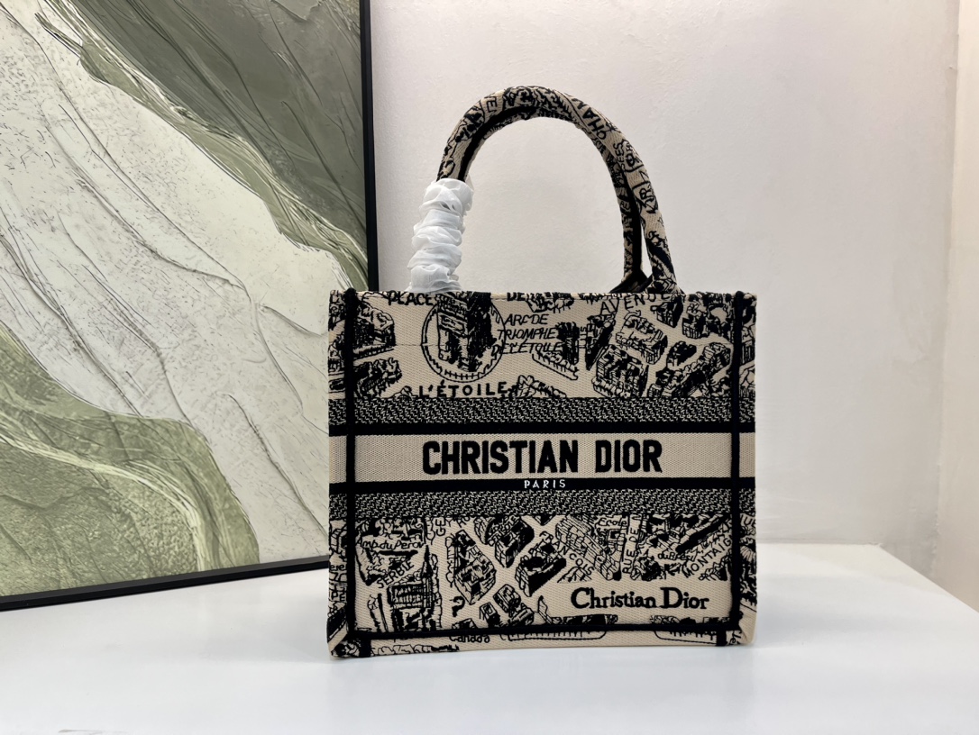 巴黎地图小号Book Tote 手袋由 Dior 女装创意总监玛丽亚·嘉茜娅·蔻丽 (Maria Gra