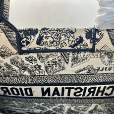 巴黎地图中号Book Tote 手袋由 Dior 女装创意总监玛丽亚·嘉茜娅·蔻丽 (Maria Gra 巴黎地图中号Book Tote 手袋由 Dior 女装创意总监玛丽亚·嘉茜娅·蔻丽 (Maria Gra