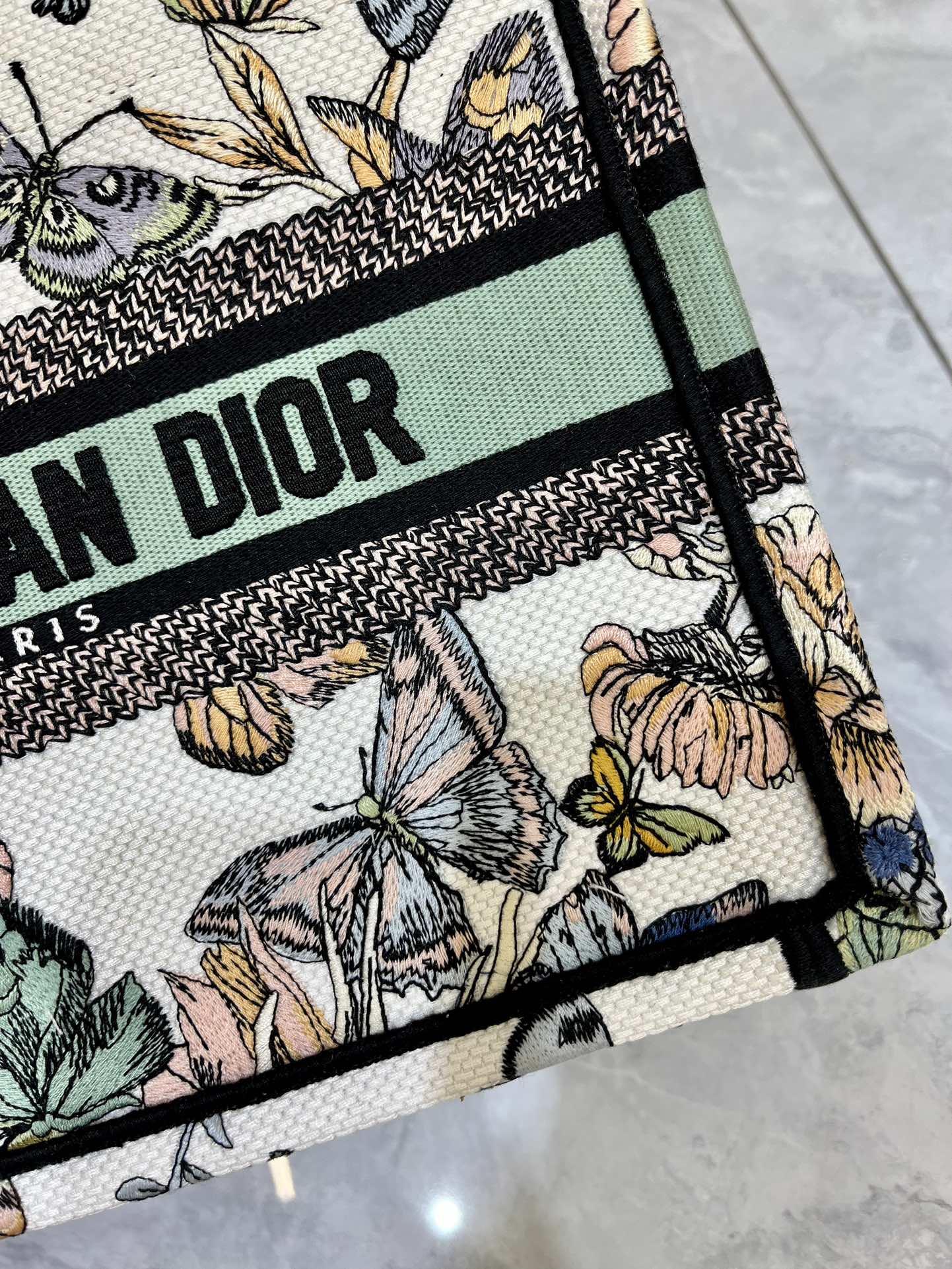 织带蝴蝶小号Book Tote 手袋由 Dior 女装创意总监玛丽亚·嘉茜娅·蔻丽 (Maria Gra
