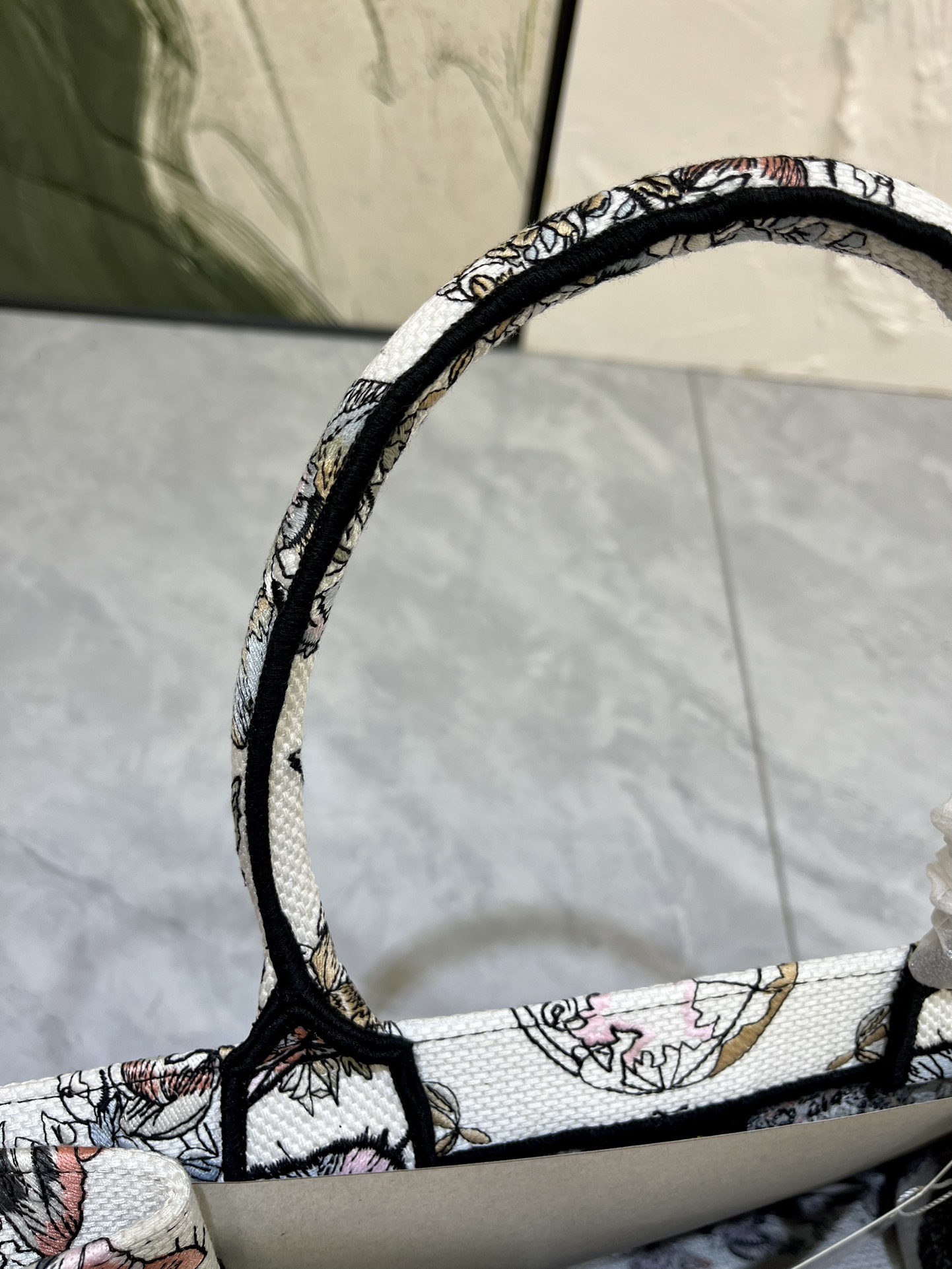 地球系列Book Tote 手袋由 Dior 女装创意总监玛丽亚·嘉茜娅·蔻丽 (Maria Grazi 地球系列Book Tote 手袋由 Dior 女装创意总监玛丽亚·嘉茜娅·蔻丽 (Maria Grazi