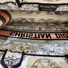 地球系列Book Tote 手袋由 Dior 女装创意总监玛丽亚·嘉茜娅·蔻丽 (Maria Grazi 地球系列Book Tote 手袋由 Dior 女装创意总监玛丽亚·嘉茜娅·蔻丽 (Maria Grazi