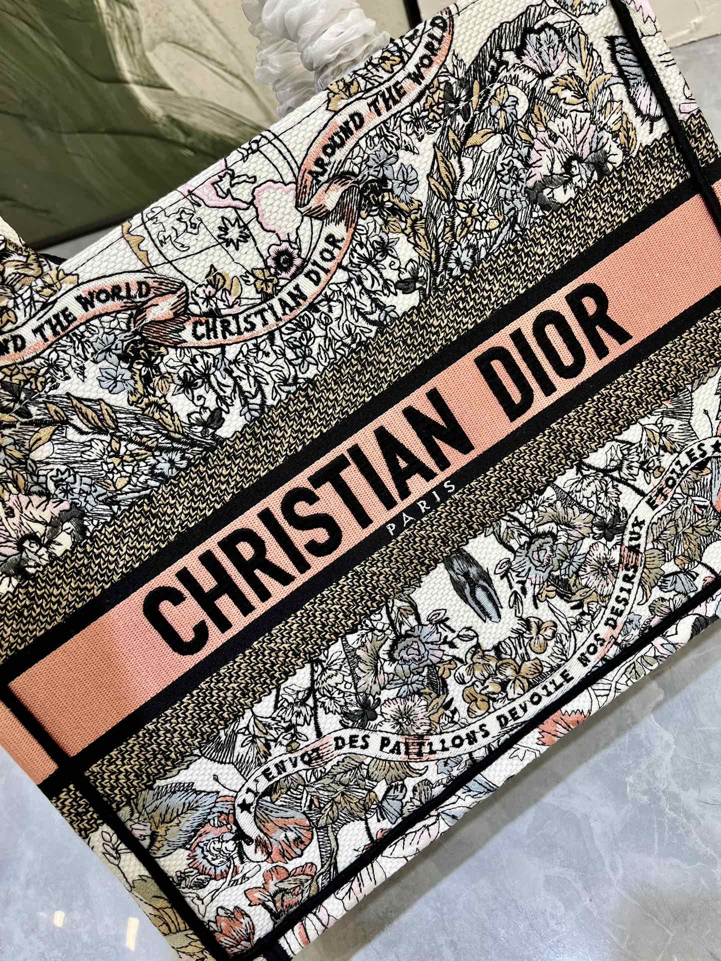 地球系列Book Tote 手袋由 Dior 女装创意总监玛丽亚·嘉茜娅·蔻丽 (Maria Grazi 地球系列Book Tote 手袋由 Dior 女装创意总监玛丽亚·嘉茜娅·蔻丽 (Maria Grazi