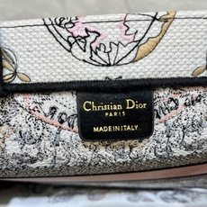 地球系列Book Tote 手袋由 Dior 女装创意总监玛丽亚·嘉茜娅·蔻丽 (Maria Grazi 地球系列Book Tote 手袋由 Dior 女装创意总监玛丽亚·嘉茜娅·蔻丽 (Maria Grazi