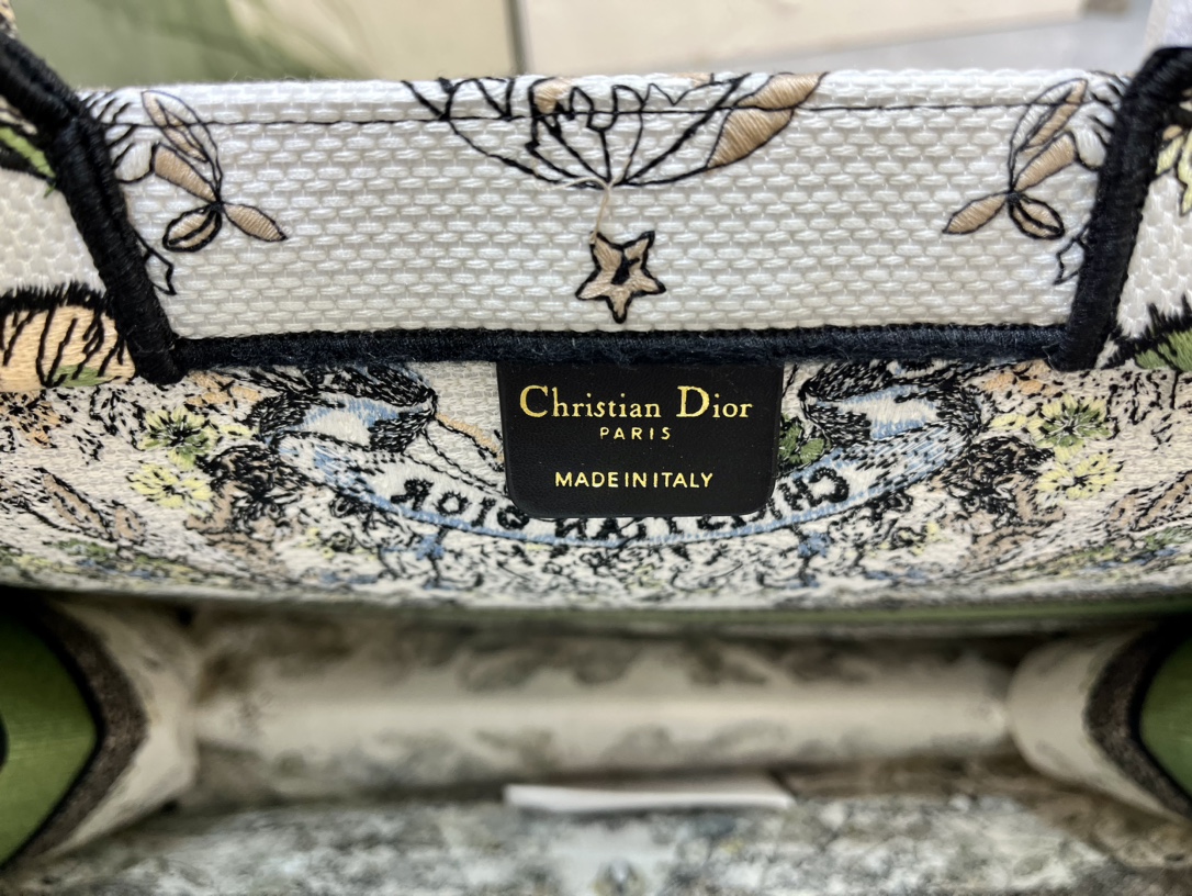 地球系列Book Tote 手袋由 Dior 女装创意总监玛丽亚·嘉茜娅·蔻丽 (Maria Grazi