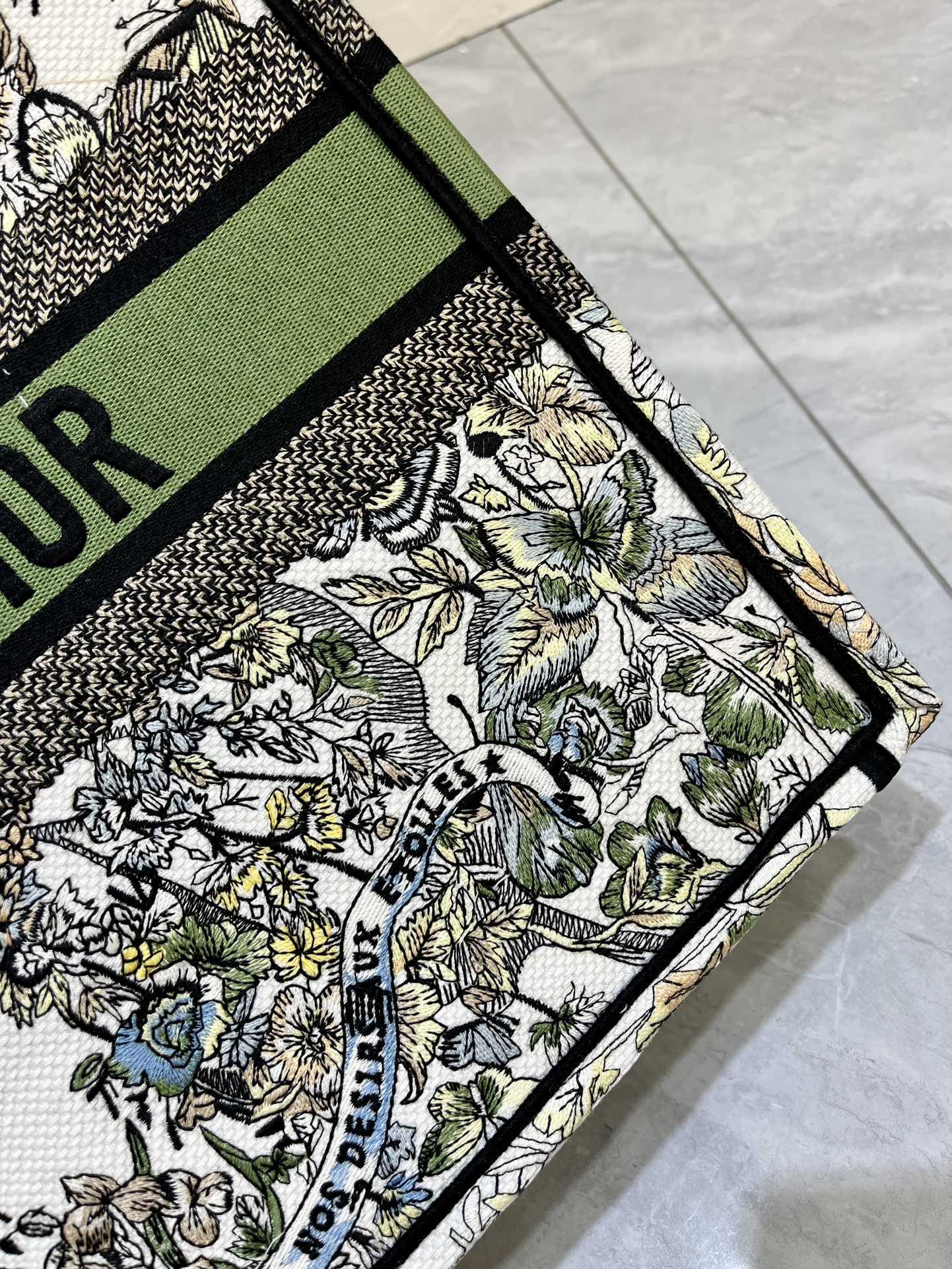 地球系列Book Tote 手袋由 Dior 女装创意总监玛丽亚·嘉茜娅·蔻丽 (Maria Grazi
