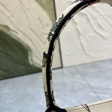 地球系列Book Tote 手袋由 Dior 女装创意总监玛丽亚·嘉茜娅·蔻丽 (Maria Grazi 地球系列Book Tote 手袋由 Dior 女装创意总监玛丽亚·嘉茜娅·蔻丽 (Maria Grazi