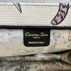 地球系列Book Tote 手袋由 Dior 女装创意总监玛丽亚·嘉茜娅·蔻丽 (Maria Grazi 地球系列Book Tote 手袋由 Dior 女装创意总监玛丽亚·嘉茜娅·蔻丽 (Maria Grazi
