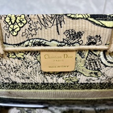 老虎系列Book Tote 手袋由 Dior 女装创意总监玛丽亚·嘉茜娅·蔻丽 (Maria Grazi 老虎系列Book Tote 手袋由 Dior 女装创意总监玛丽亚·嘉茜娅·蔻丽 (Maria Grazi