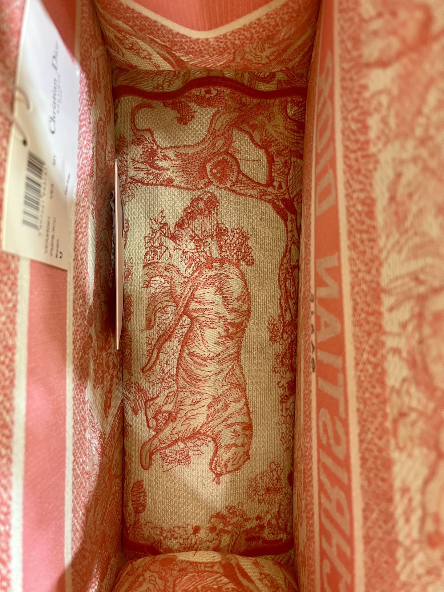 老虎系列Book Tote 手袋由 Dior 女装创意总监玛丽亚·嘉茜娅·蔻丽 (Maria Grazi 老虎系列Book Tote 手袋由 Dior 女装创意总监玛丽亚·嘉茜娅·蔻丽 (Maria Grazi