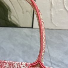 老虎系列Book Tote 手袋由 Dior 女装创意总监玛丽亚·嘉茜娅·蔻丽 (Maria Grazi 老虎系列Book Tote 手袋由 Dior 女装创意总监玛丽亚·嘉茜娅·蔻丽 (Maria Grazi