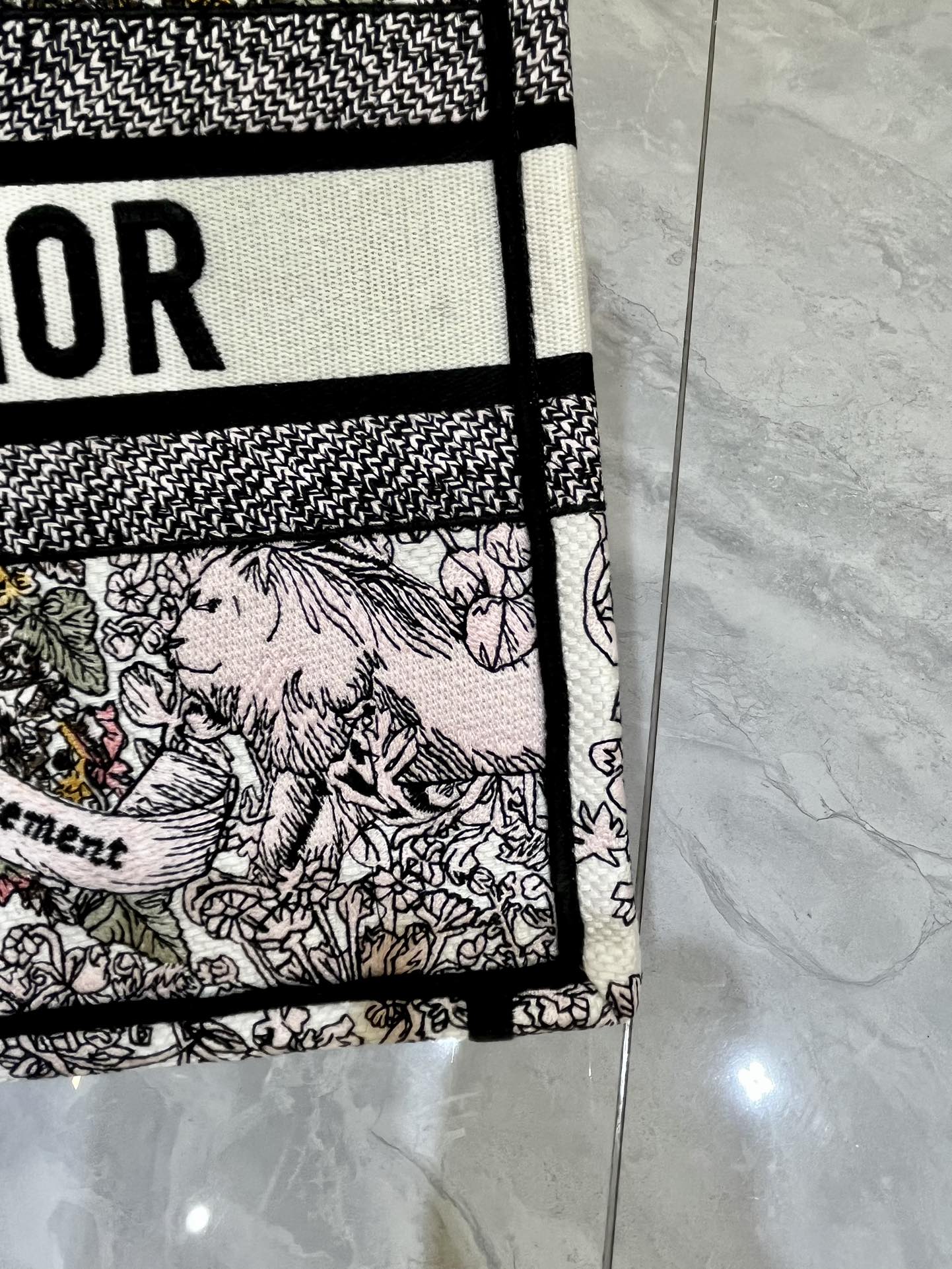 Book Tote 手袋由 Dior 女装创意总监玛丽亚·嘉茜娅·蔻丽 (Maria Grazia Ch Book Tote 手袋由 Dior 女装创意总监玛丽亚·嘉茜娅·蔻丽 (Maria Grazia Ch