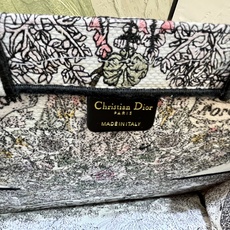Book Tote 手袋由 Dior 女装创意总监玛丽亚·嘉茜娅·蔻丽 (Maria Grazia Ch Book Tote 手袋由 Dior 女装创意总监玛丽亚·嘉茜娅·蔻丽 (Maria Grazia Ch