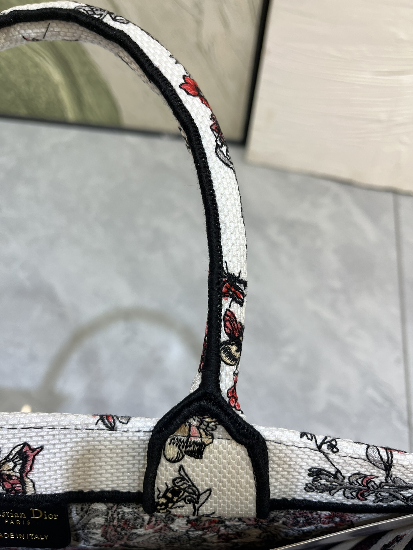 Book Tote 手袋由 Dior 女装创意总监玛丽亚·嘉茜娅·蔻丽 (Maria Grazia Ch