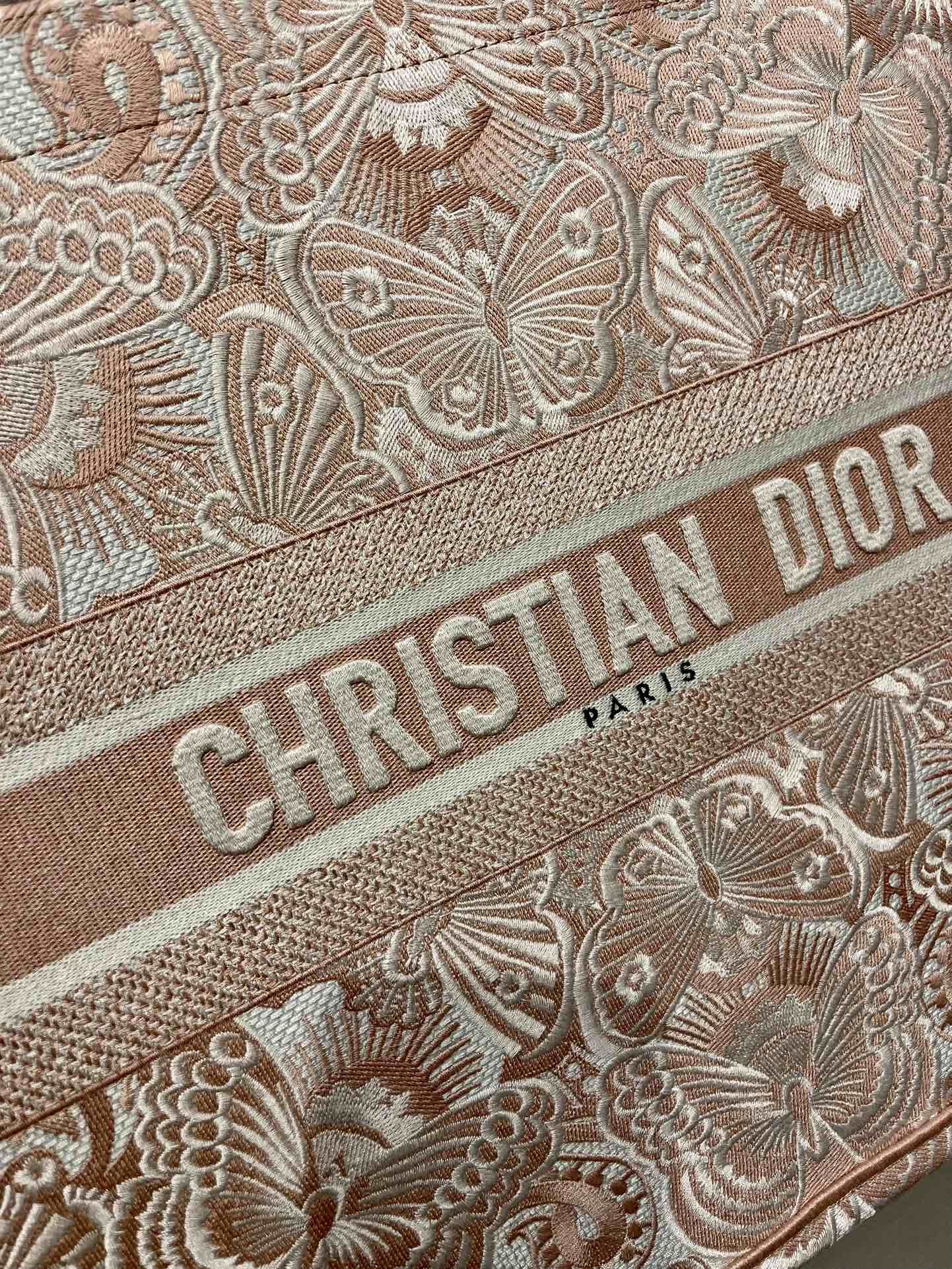 Book Tote 手袋由 Dior 女装创意总监玛丽亚·嘉茜娅·蔻丽 (Maria Grazia Ch