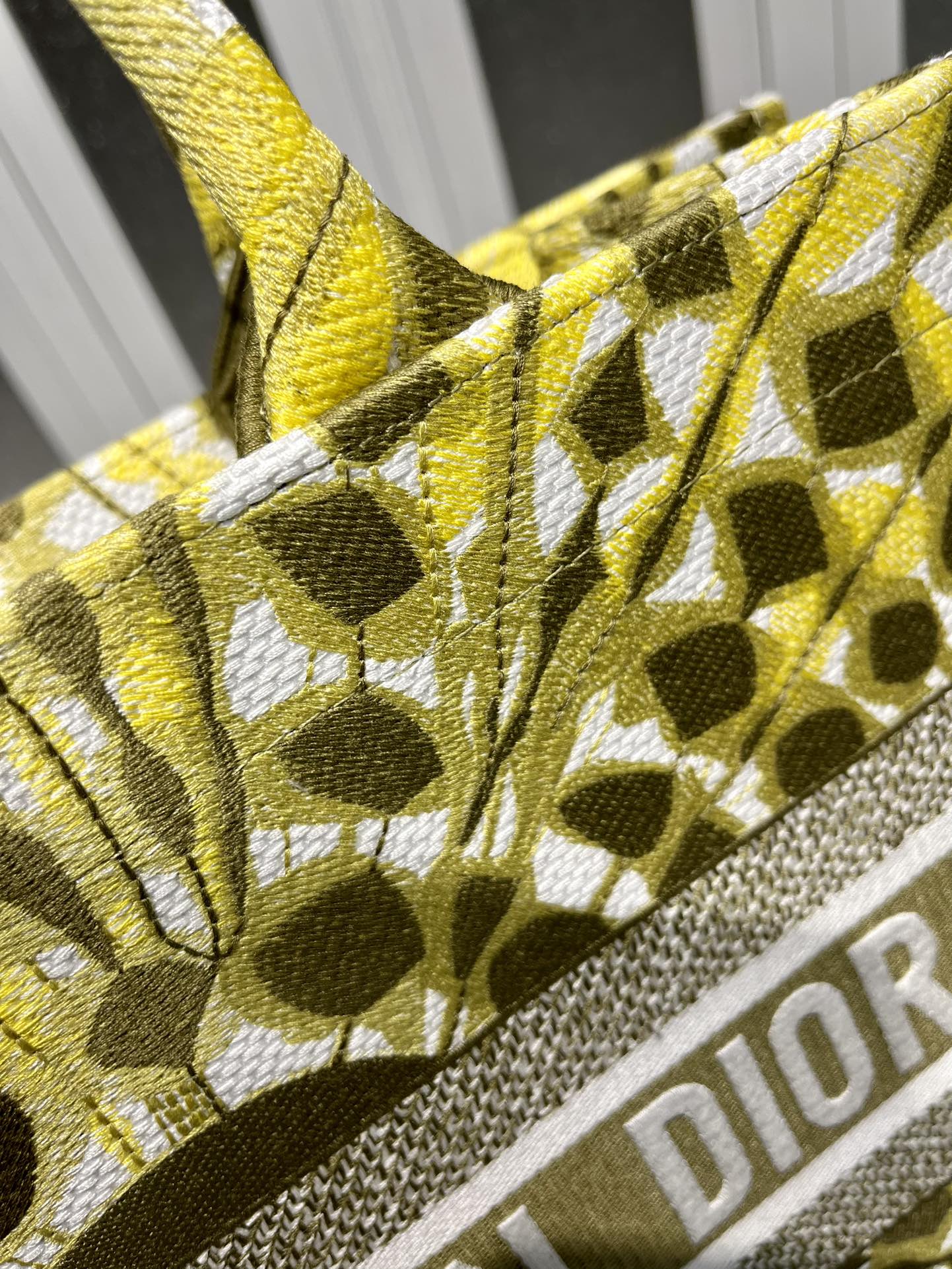 Book Tote 手袋由 Dior 女装创意总监玛丽亚·嘉茜娅·蔻丽 (Maria Grazia Ch