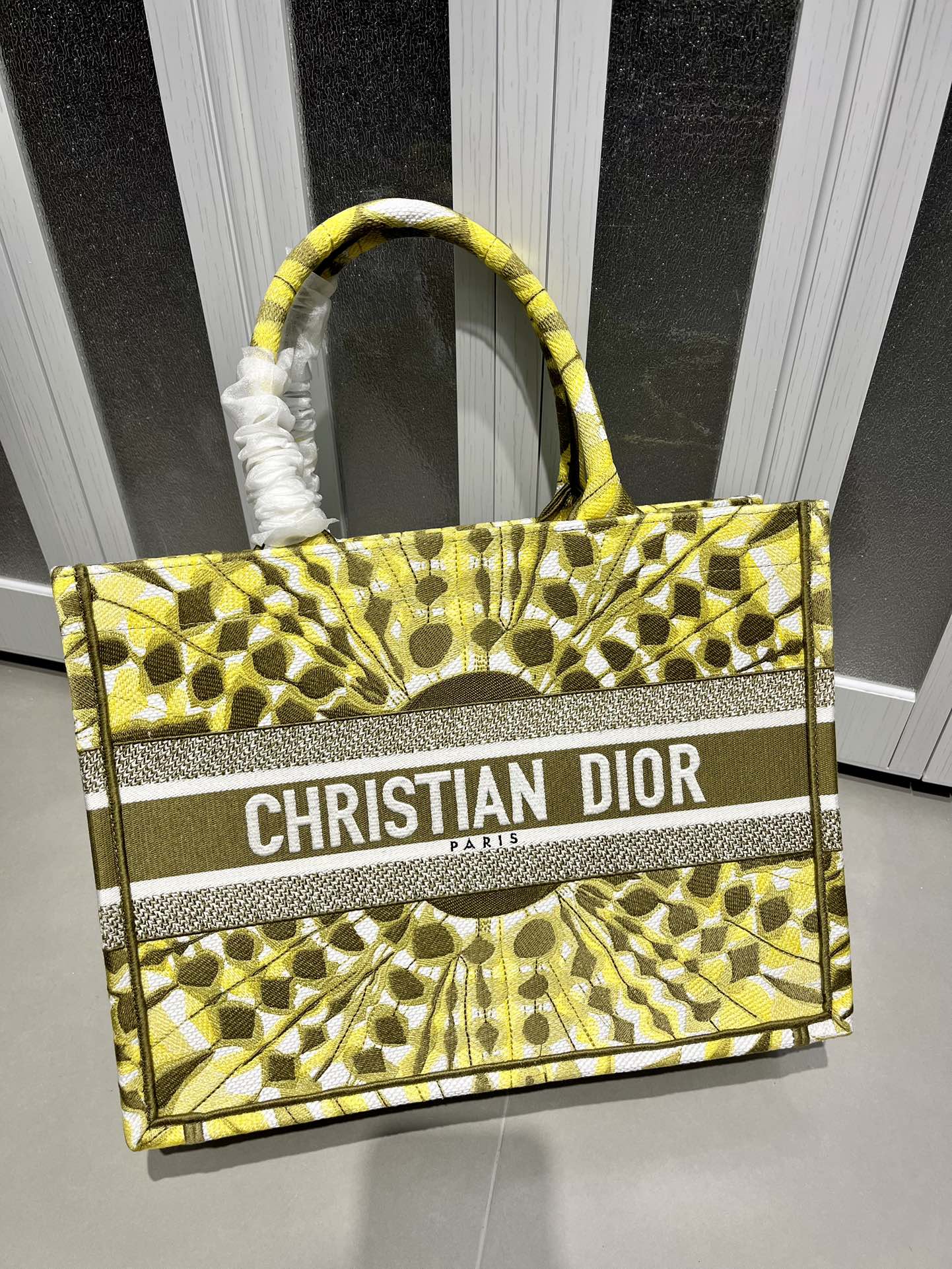 Book Tote 手袋由 Dior 女装创意总监玛丽亚·嘉茜娅·蔻丽 (Maria Grazia Ch