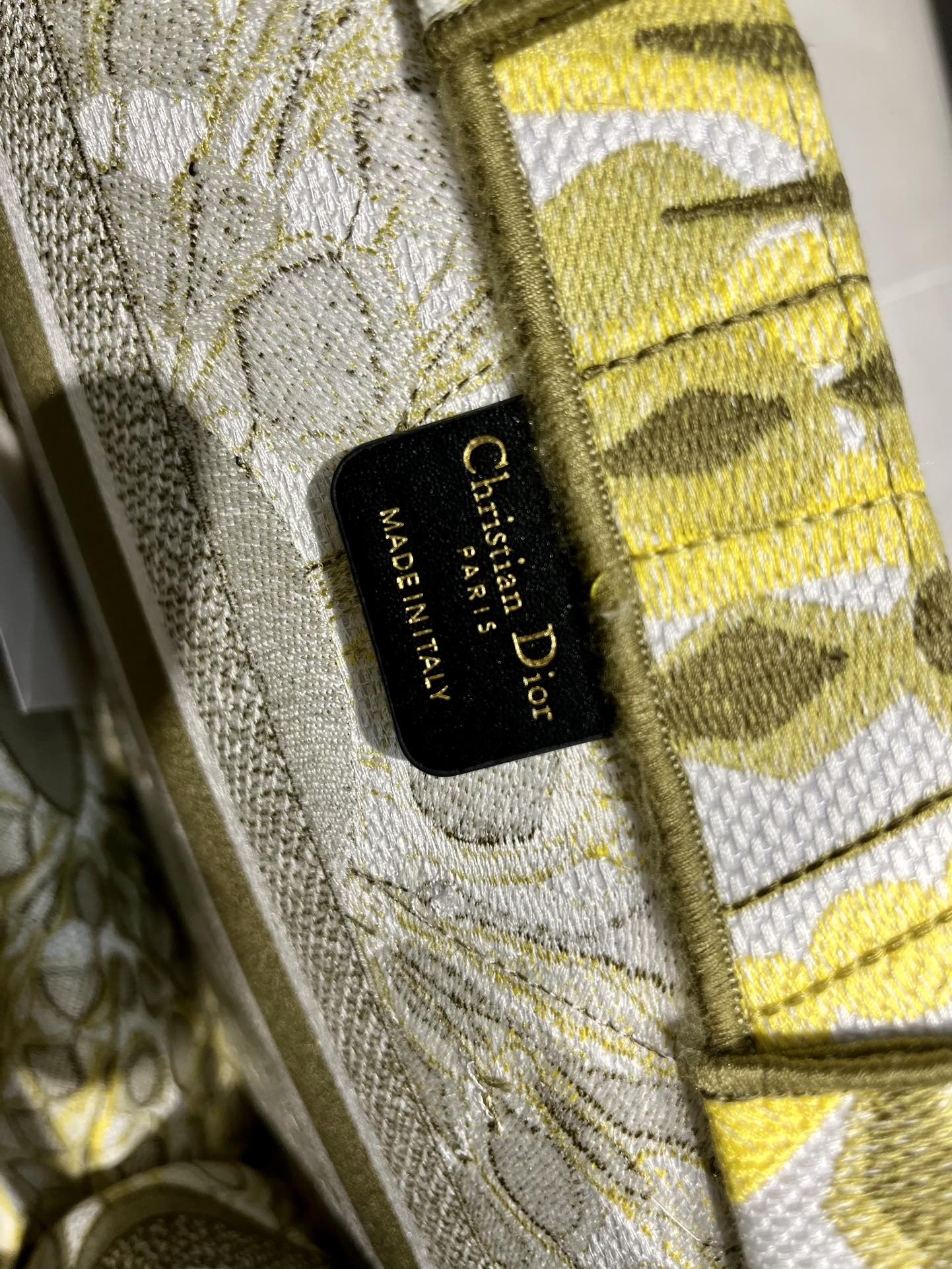 Book Tote 手袋由 Dior 女装创意总监玛丽亚·嘉茜娅·蔻丽 (Maria Grazia Ch