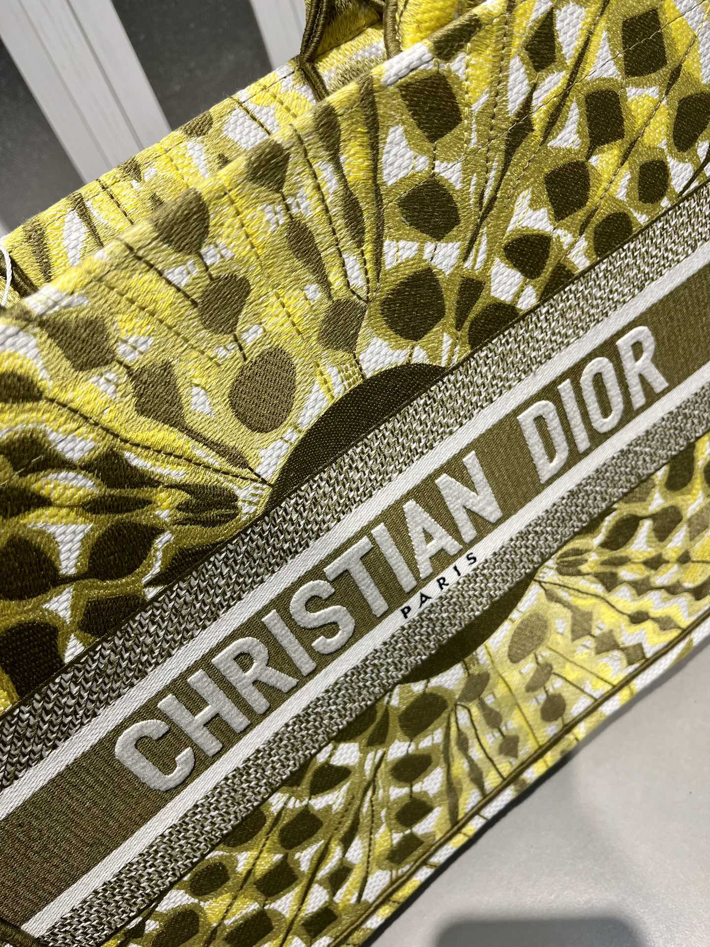 Book Tote 手袋由 Dior 女装创意总监玛丽亚·嘉茜娅·蔻丽 (Maria Grazia Ch